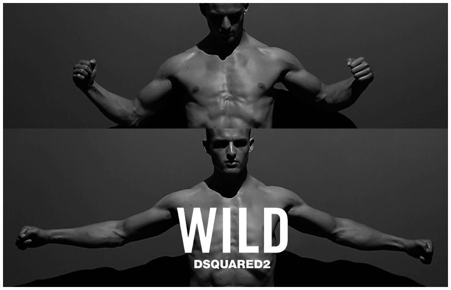 wild dsquared